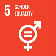 sustainable-gender-equality
